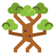 003-mangrove
